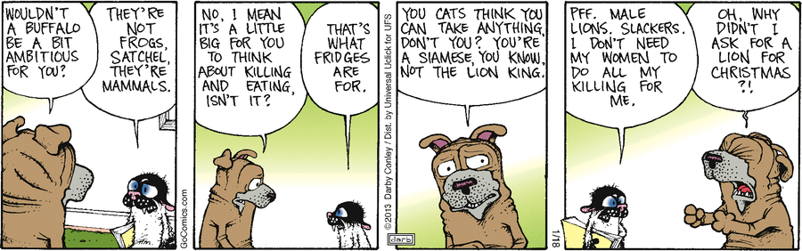 fuzzy